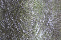 Crofty fibreglass roof work